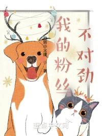 我的粉丝不对劲封面