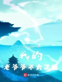 我的老爷爷不太正经封面