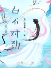 我的旁白不对劲封面