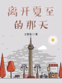 离开夏至的那天封面