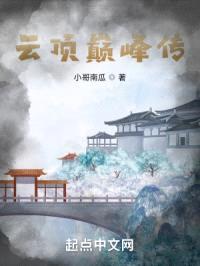 云顶巅峰传封面