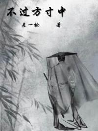 不过方寸中封面