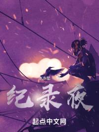纪录夜封面