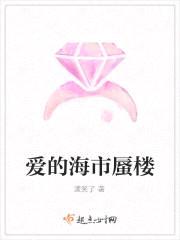 爱的海市蜃楼封面
