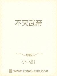 不灭武帝封面
